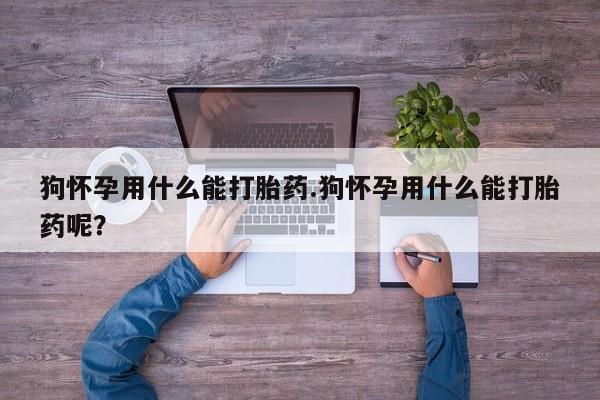 米非米索网上私人药店微信狗怀孕用什么能打胎药.狗怀孕用什么能打胎药呢？