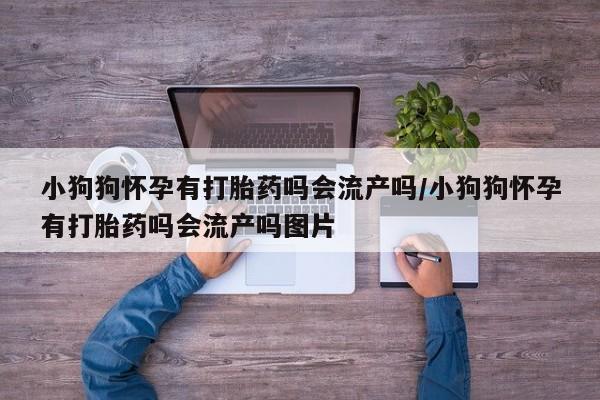 米非米索网上私人药店微信小狗狗怀孕有打胎药吗会流产吗/小狗狗怀孕有打胎药吗会流产吗图片