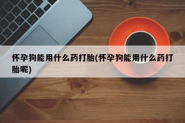 米非米索网上私人药店微信怀孕狗能用什么药打胎(怀孕狗能用什么药打胎呢)